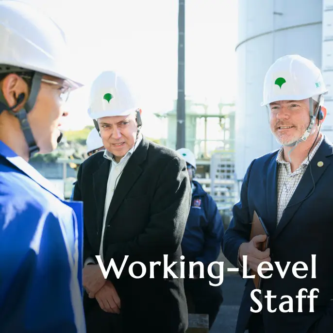 Working-Level Staff