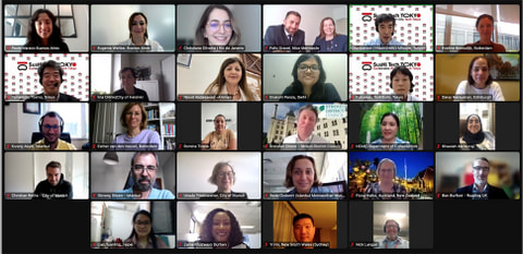 thumbnail of [ The Working Group Plenary Meeting Was Held Online ]